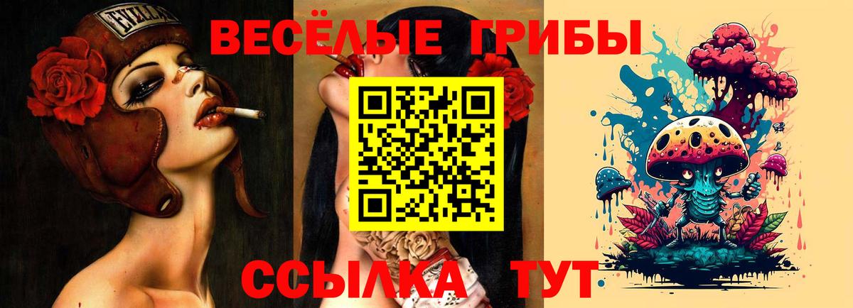 Галлюциногенные грибы MAGIC MUSHROOMS Октябрьский
